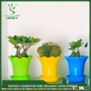 2015 hot sale Beautiful small plastic flower pot buy direct from china factory