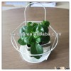 Metal flower pot holder/ hanging basket/ hanging metal Plant Holder