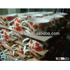 Cheap ceramic custom printed cup flower pot