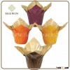 Colourful Indoor Decoration Kraft Paper Flower Pot Cover