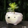 Factory directly office decoration ceramic animal shape flower pot