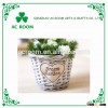 AC ROOM natural small willow flower pot flower plant