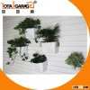 Home/Shop Decorative Wall Hanging Flower Pots with Slatwall Panel