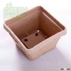 Biodegradable paper craft flower pot