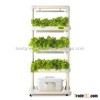 LED Hydroponic Cultivator