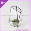 Pressed Flower Terrarium,Glass Terrarium Container Bell Jars with Cover (Large), clear glass terrari