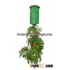 Topsy turvy upside down tomato planter/as seen as on tv
