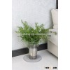 ECO-friendly diatomite flower pot tray