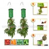 BOTTOMS UP Hanging UPSIDE DOWN Tomato Planter