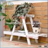 Indoor Natural Environment A-Frame colorful Flower Shelf
