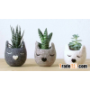 Eco-friendly Felt Home Garden Bag Felt Planting Bags