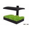 Grow garden with light