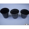Ornamental Plants pots