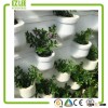 Good quality green house hydroponic foam planting system