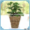 SD Garden natural Water hyacinth planter flower pots with metal inserts