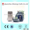 Unique Succulent plant pot mini pot for garden or home decoration