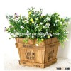 wholesale colorful wooden planter box Succulent plants pots