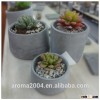 garden planter pots concrete mini pot