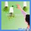 HOGIFT Log Custom Sky Planter/Plant Flowerpot/DIY Drinking Water Plant