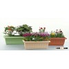 planters