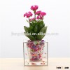 Creative Desktop fish pot
