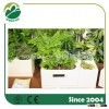 Creative popular white plastic flower pot with time clock, wedding/promotive/promotion/promotional g