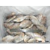 High quality frozen butterfish pomfret