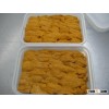 Sea Urchin Fresh