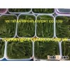 Sell Fresh Umibudo Seaweed ( Sea Grapes )