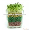 Negative Ion Plant ceramsite Cultivation Desktop Plant can purify air