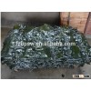 Fresh salted kelp seaweed, laminaria, seaweed knot for sale