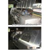 Fish Killing Machine/Computer Program-Controlled Fish Pre-Treatment Machine