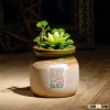 Unique design green glazed ceramic flower pot succulent bonsai for home decoration