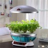 hydroponics vertical grow system