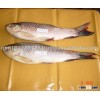 Rohu Frozen Fish Myanmar
