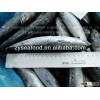 Frozen Bonito Fish 150-200G 19CM+
