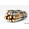 Live Razor Clam (Ensis Siliqua)