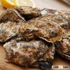 Korean Tongyeong Fresh Live Pacific Oyster(Whole Shell Oyster / Half Shell Oyster)