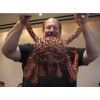Live Red King Crabs and Deepsea Red Crab