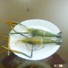 Chilled prawn and white Fish