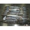 frozen sardines