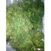 ULVA SEAWEED