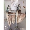 Mackerel Frozen
