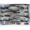 VIET NAM LIVE CRAYFISH - SPINY LOBSTER WHOLE ROUND GOOD PRICE