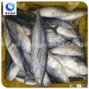 frozen seafood bonito new
