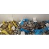 Frozen conch seafood !!