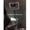 Best Quality Reasonable Price Frozen Bonito Sarda Sarda