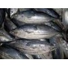 Bonito Fish