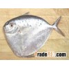 Moon Fish / Seafood / Vietnam seafood