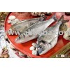 fresh farmed seafood